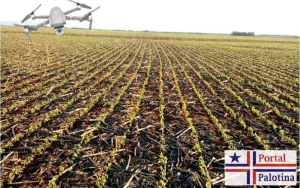Drones ajudam na economia de tempo e dinheiro no agro